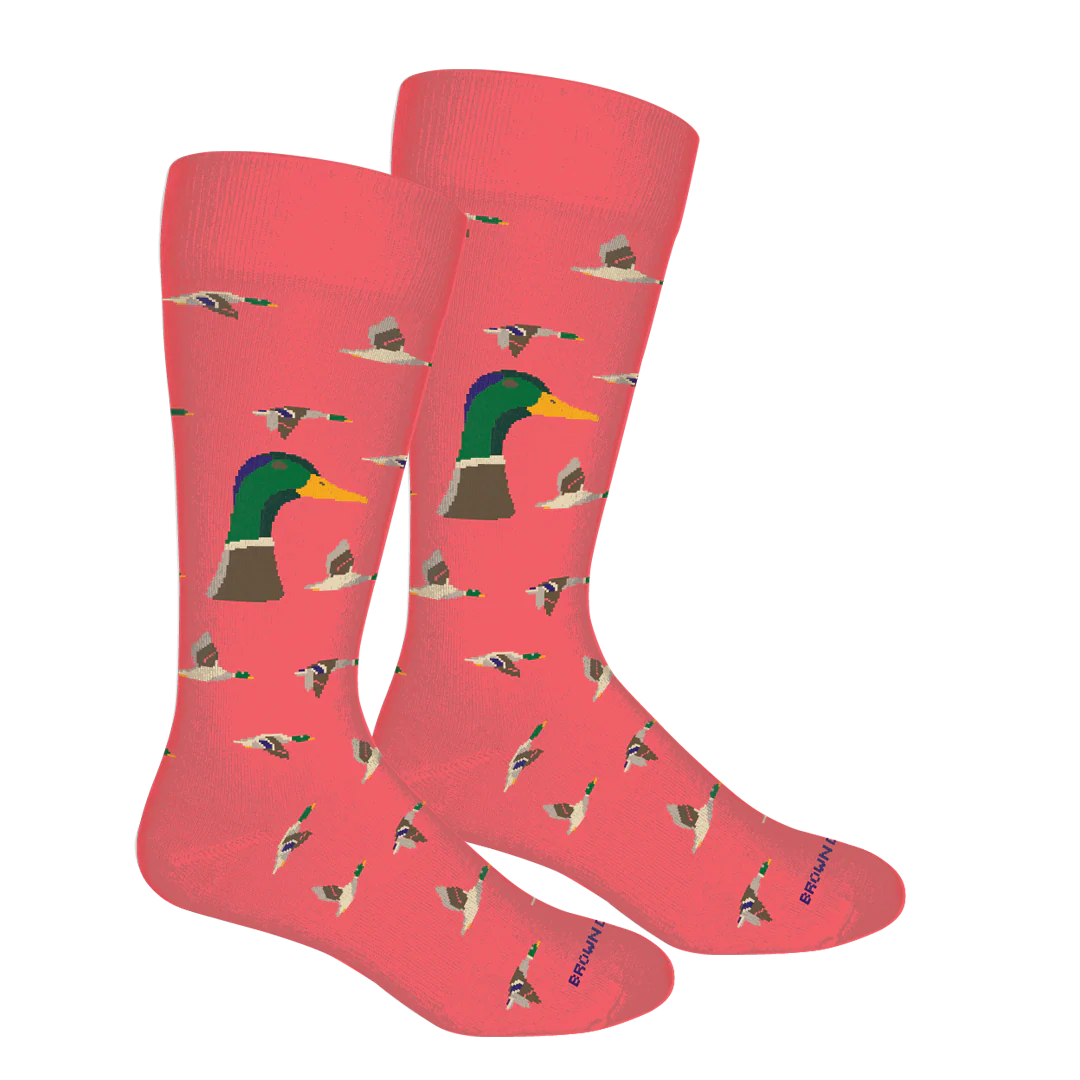Brown Dog Socks
