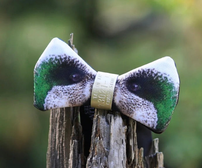 Tailin Ties The Wigeon