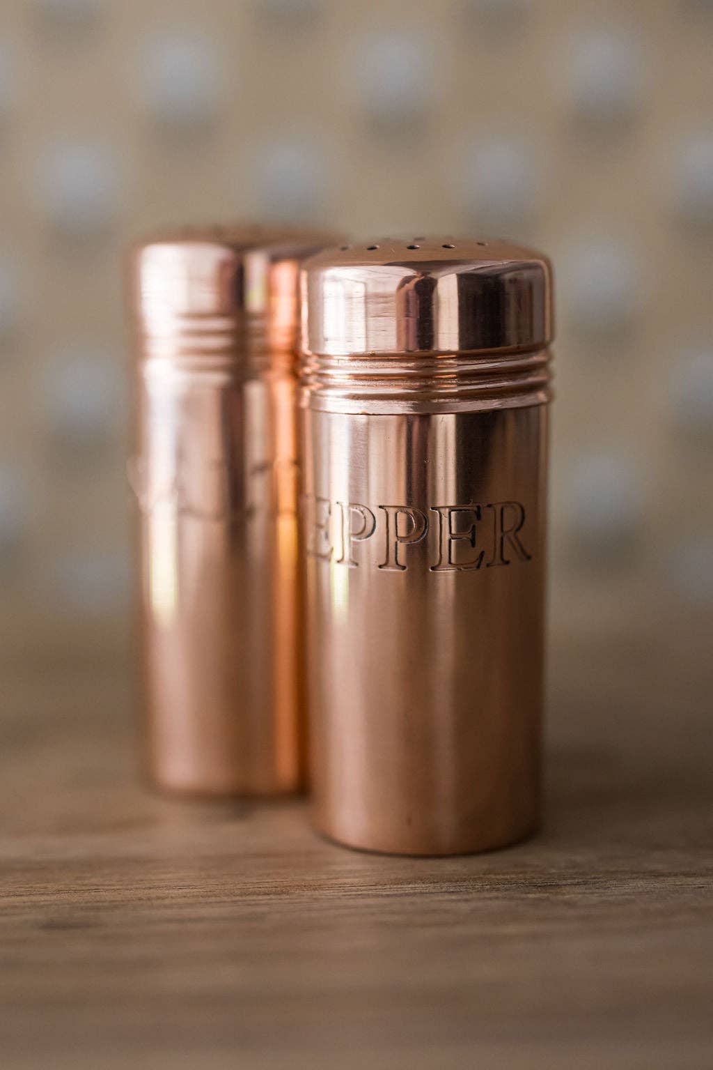 Galley and Fen Copper Salt & Pepper Shakers