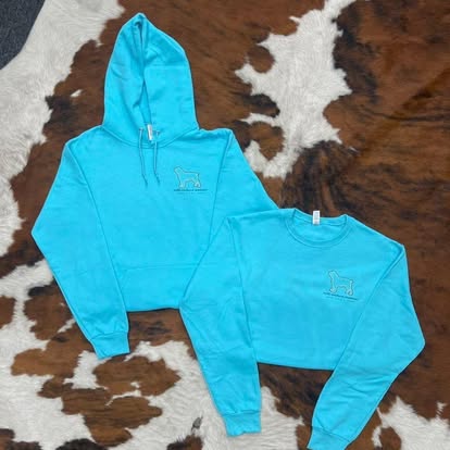 WSO Youth Teal Hoodie