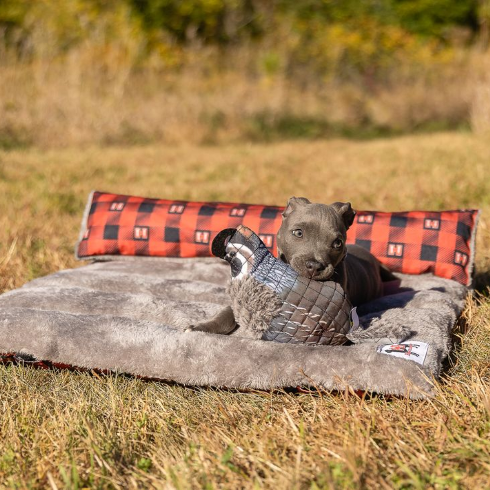 Quail Lined Dog Toy