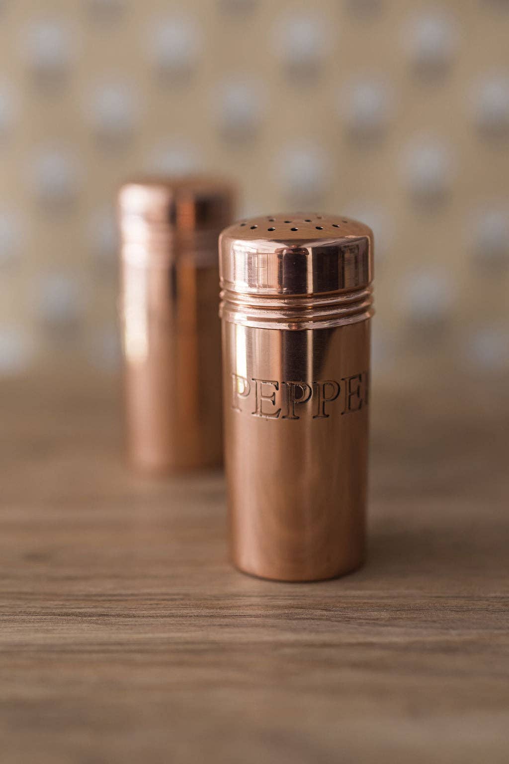 Galley and Fen Copper Salt & Pepper Shakers