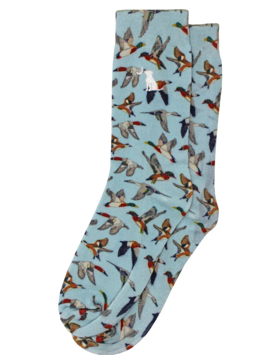 Local Boy Dress Socks