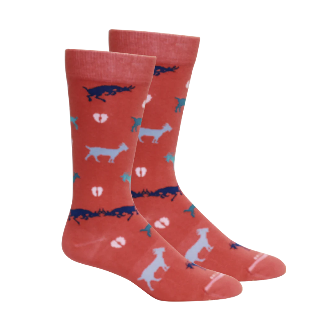 Brown Dog Socks