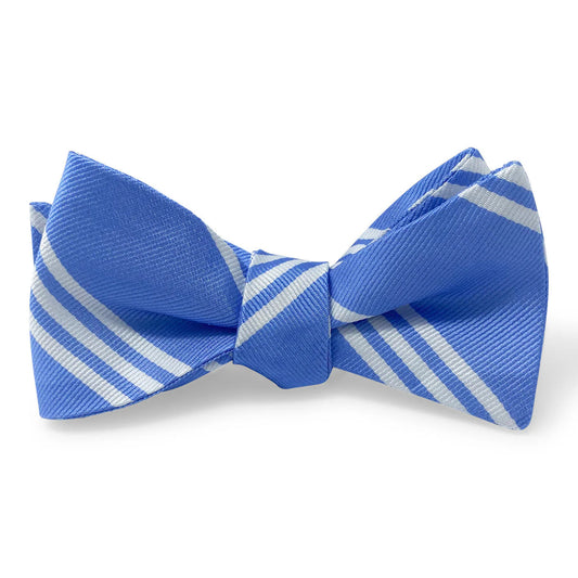 Peter Blair College Collection Stripes: Bow - Blue