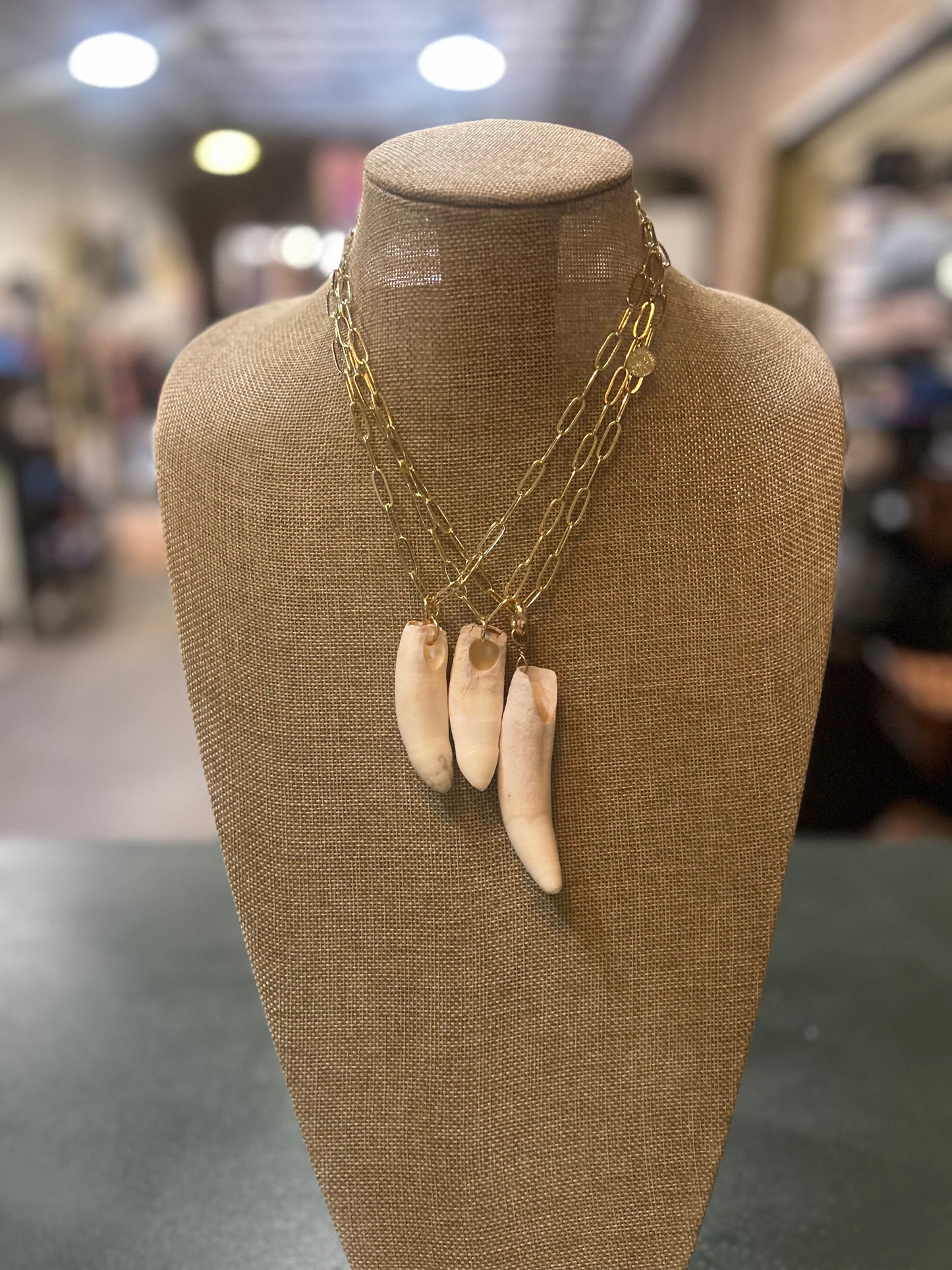 MCS Authentic Alligator Tooth Charm on a gold plate paperclip necklace