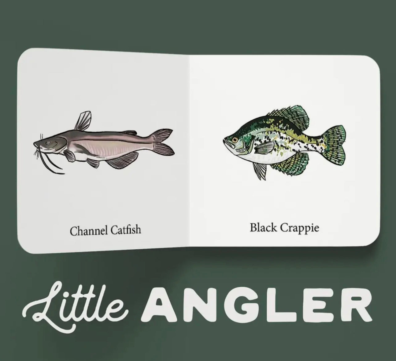 Explore the Outdoors Little Angler Book Set