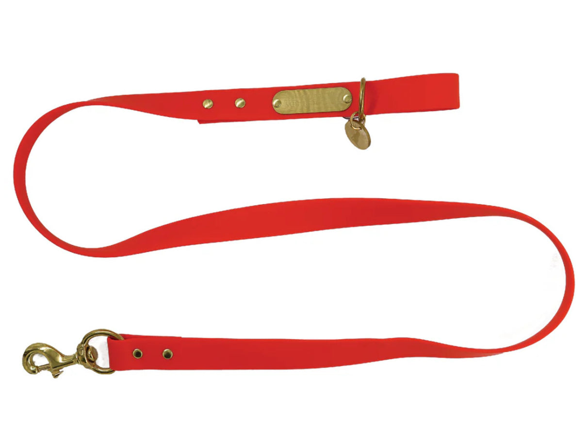 Local Boy Biothane Dog Leash