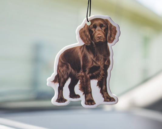 Scent South Air Freshener- Boykin- Scent: Black Ice