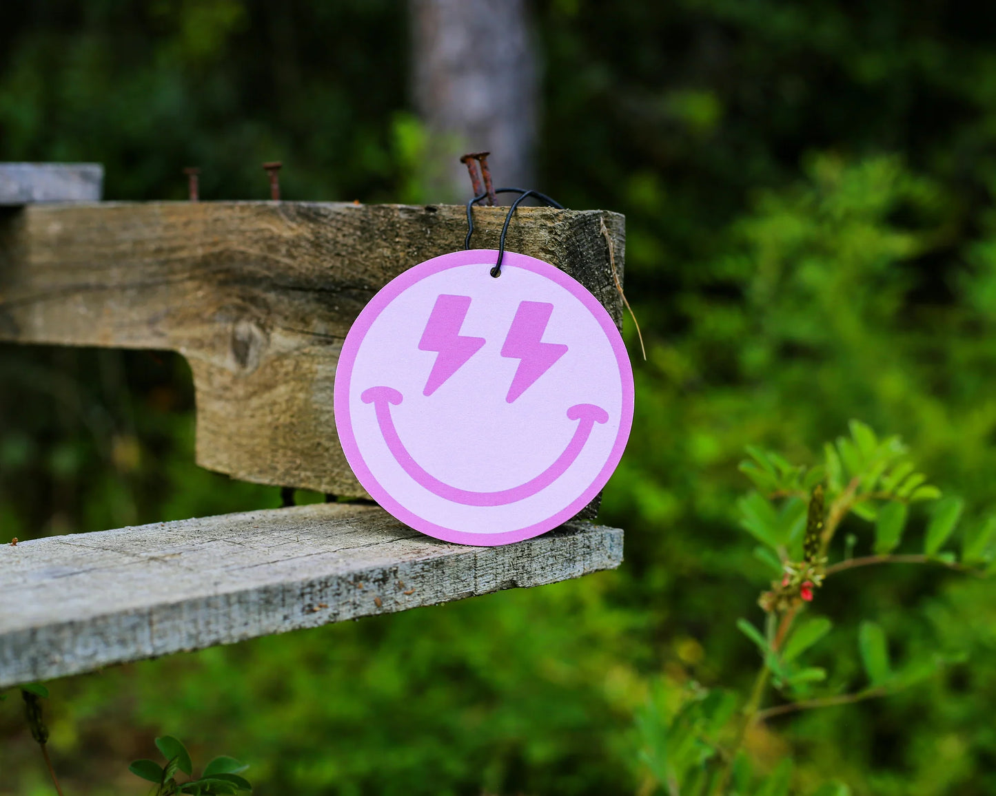 Scent South Air Freshener