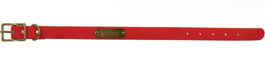 Local Boy Biothane Dog Collar