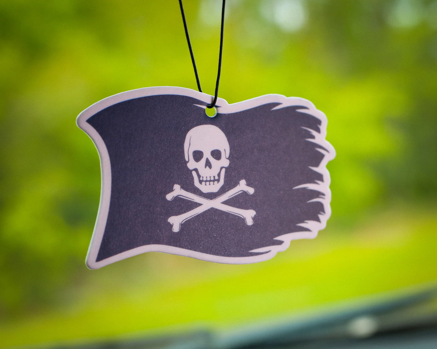 Scent South Air Freshener
