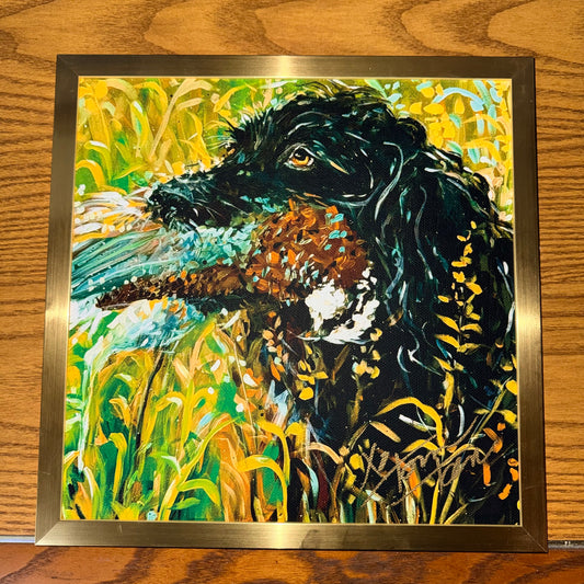 TOM TOM & Co Boykin Enhanced Reproduction 12x12