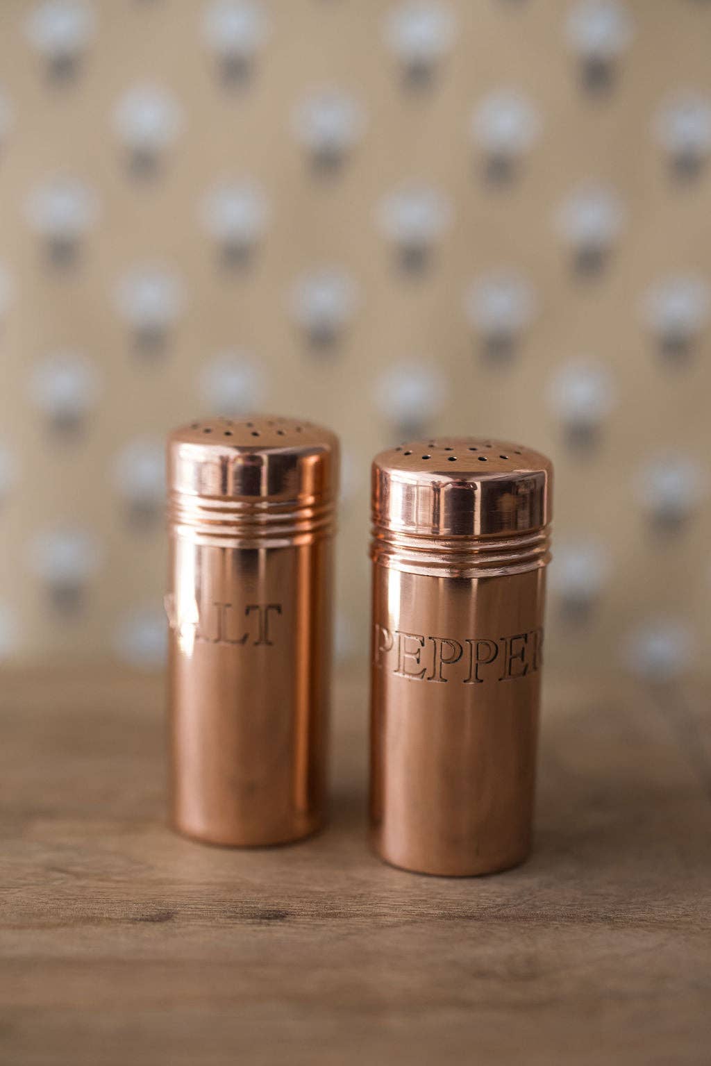 Galley and Fen Copper Salt & Pepper Shakers