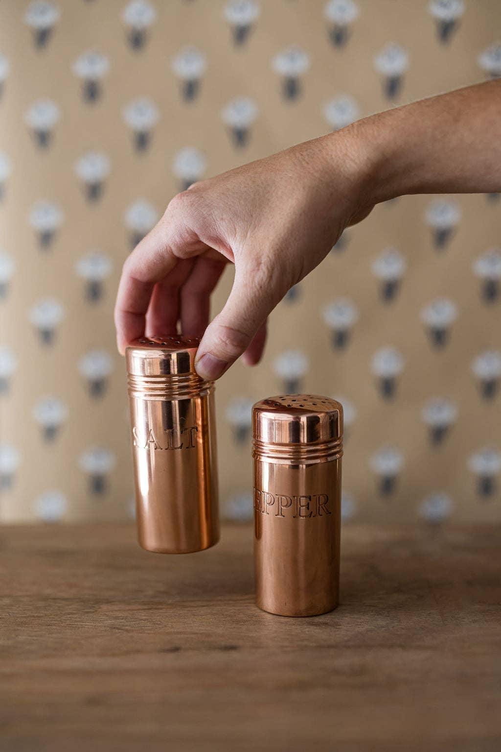 Galley and Fen Copper Salt & Pepper Shakers