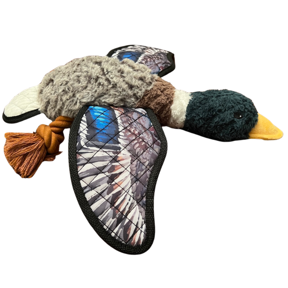 Mallard - Lined Dog Toy