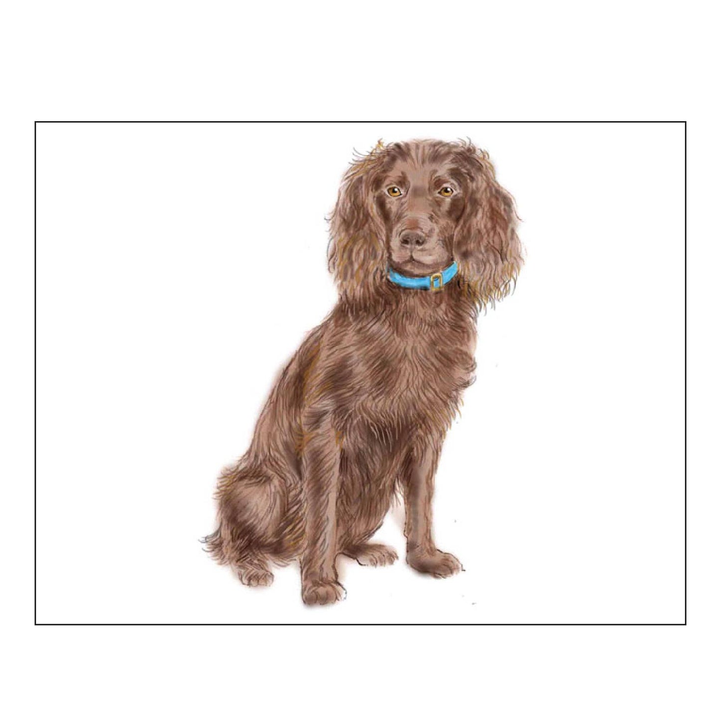 BOYKIN SPANIEL FOLDOVER NOTE CARDS