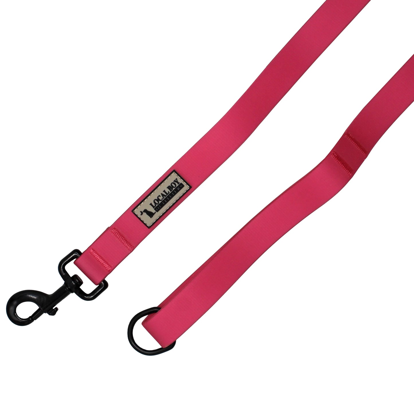 Local Boy Dog Leash